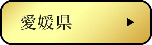 愛媛県